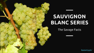 sauvignon blanc grapes