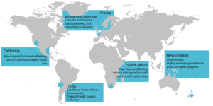 countries and styles of sauvignon blanc