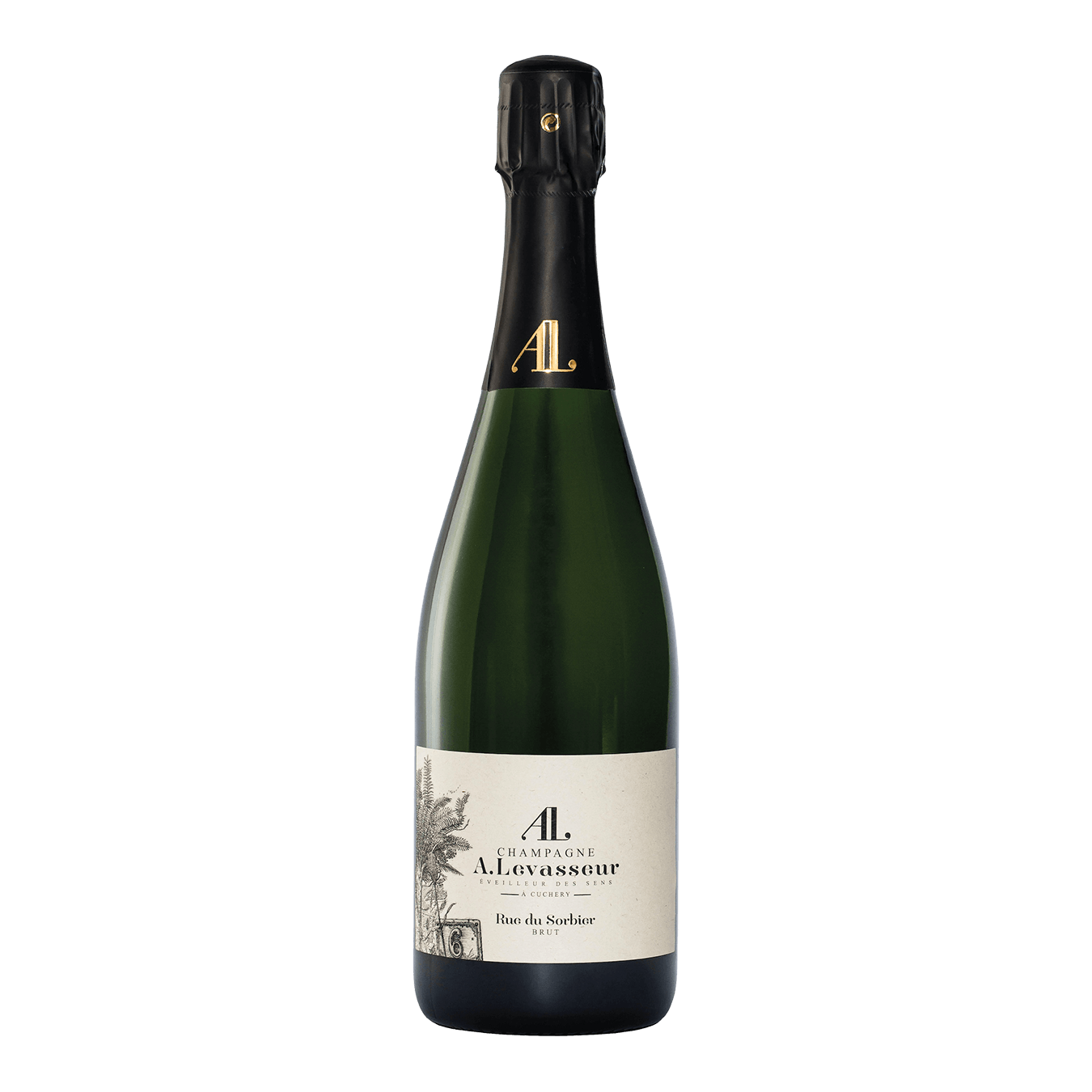 Levasseur rue du sorbier champagne france sparkling wine