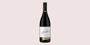 Malma Pinot Noir Patagonia pie match