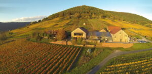 Judging a book by its cover furst vineyards