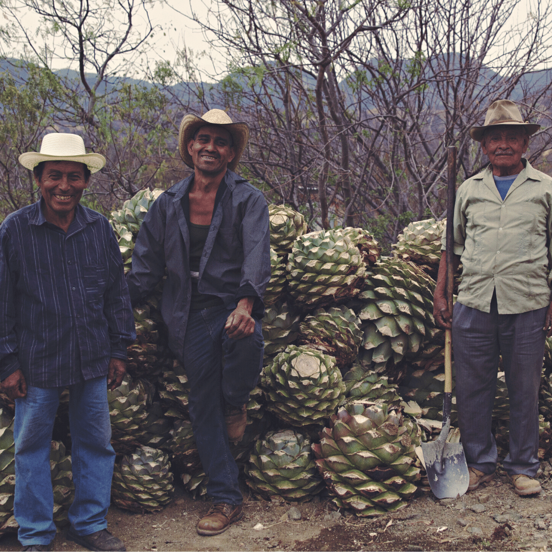 about homtipple mezcal producers