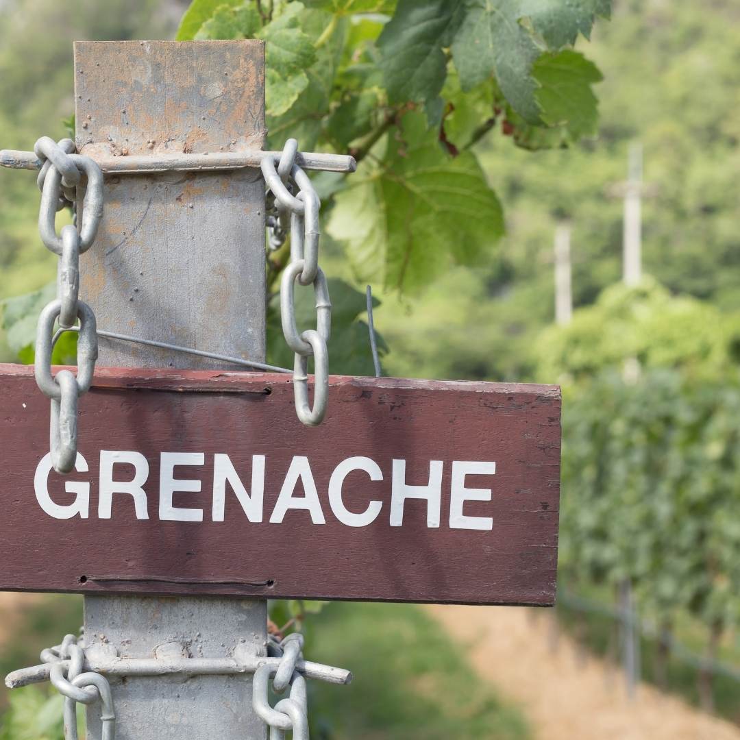 september offers page grenache