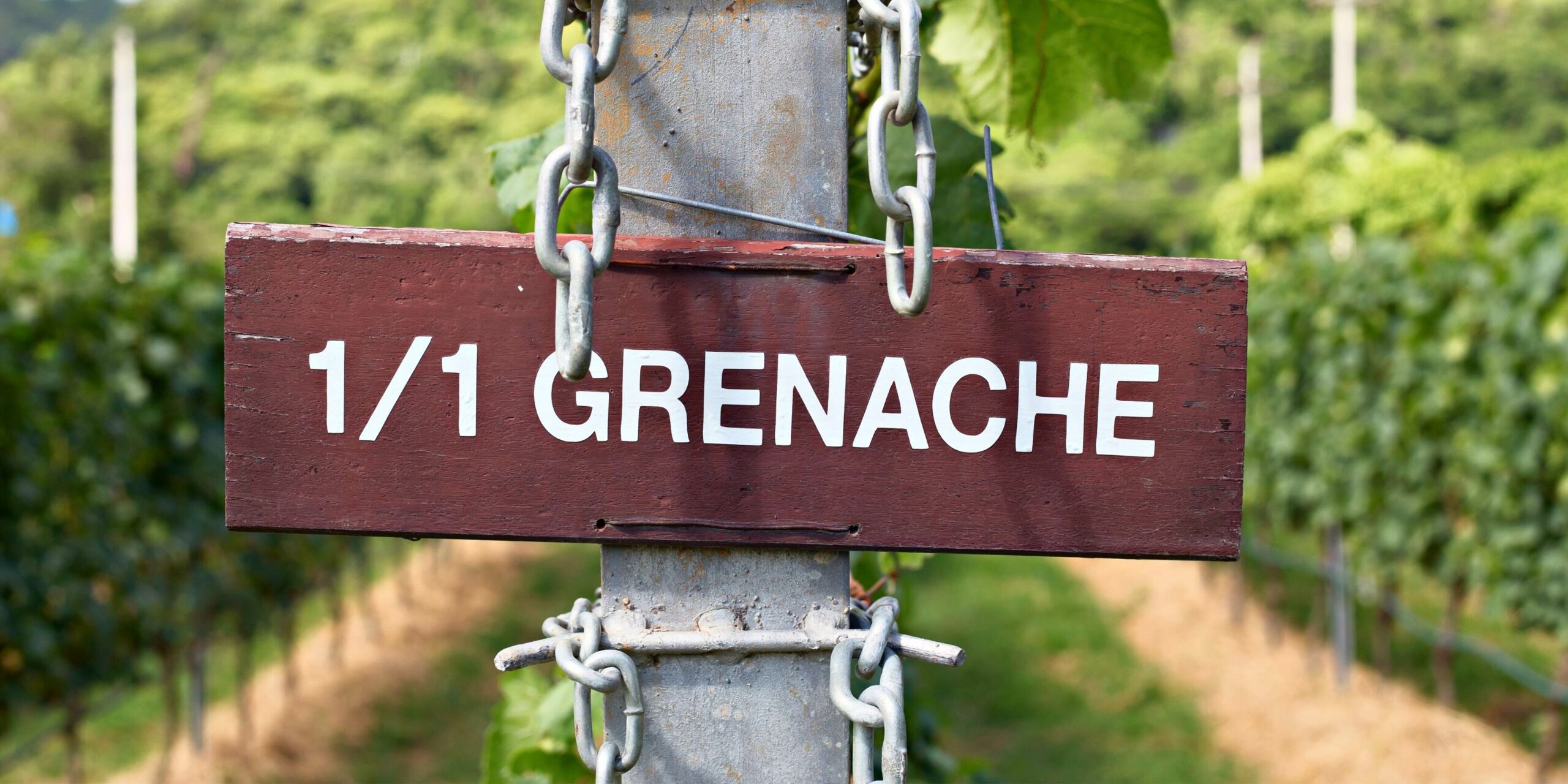 glorious grenache blog