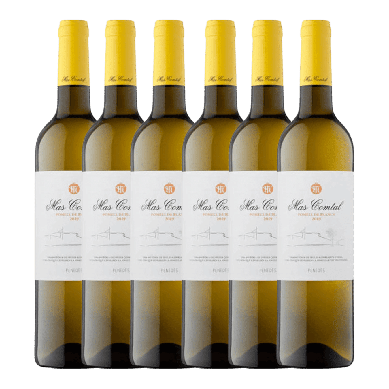 Black Chalk Wild Rose Case of 12 bottles