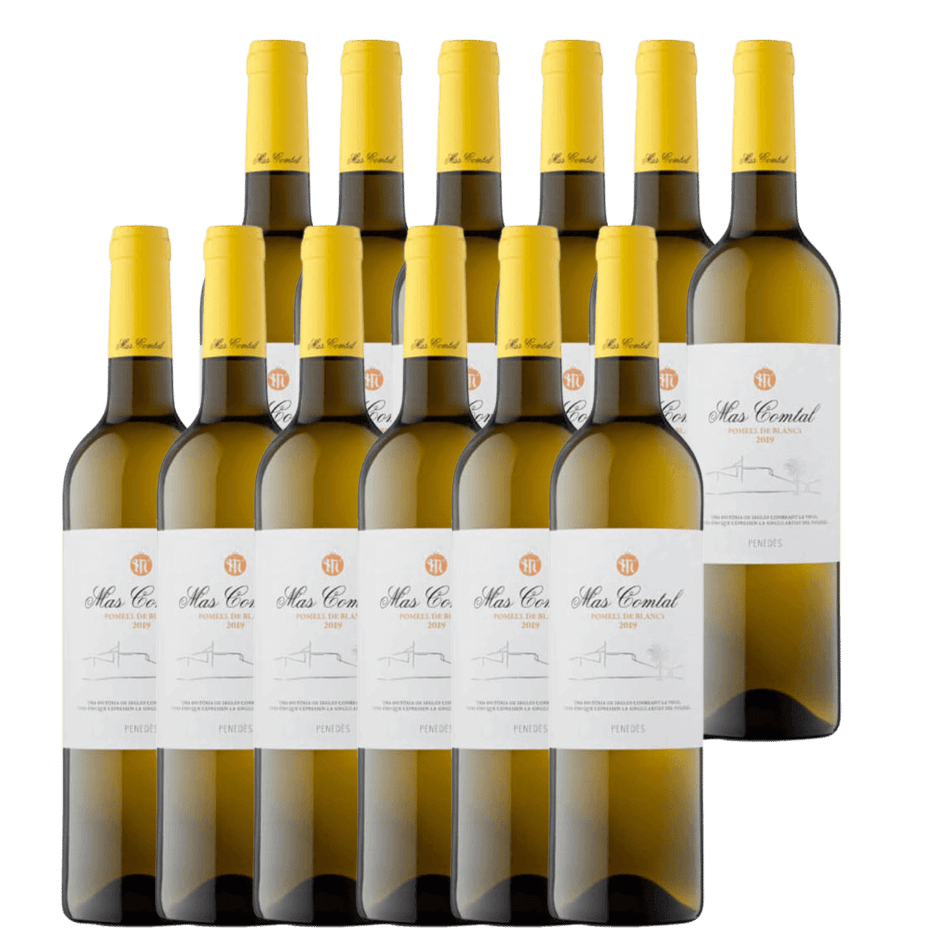 Black Chalk Wild Rose Case of 12 bottles