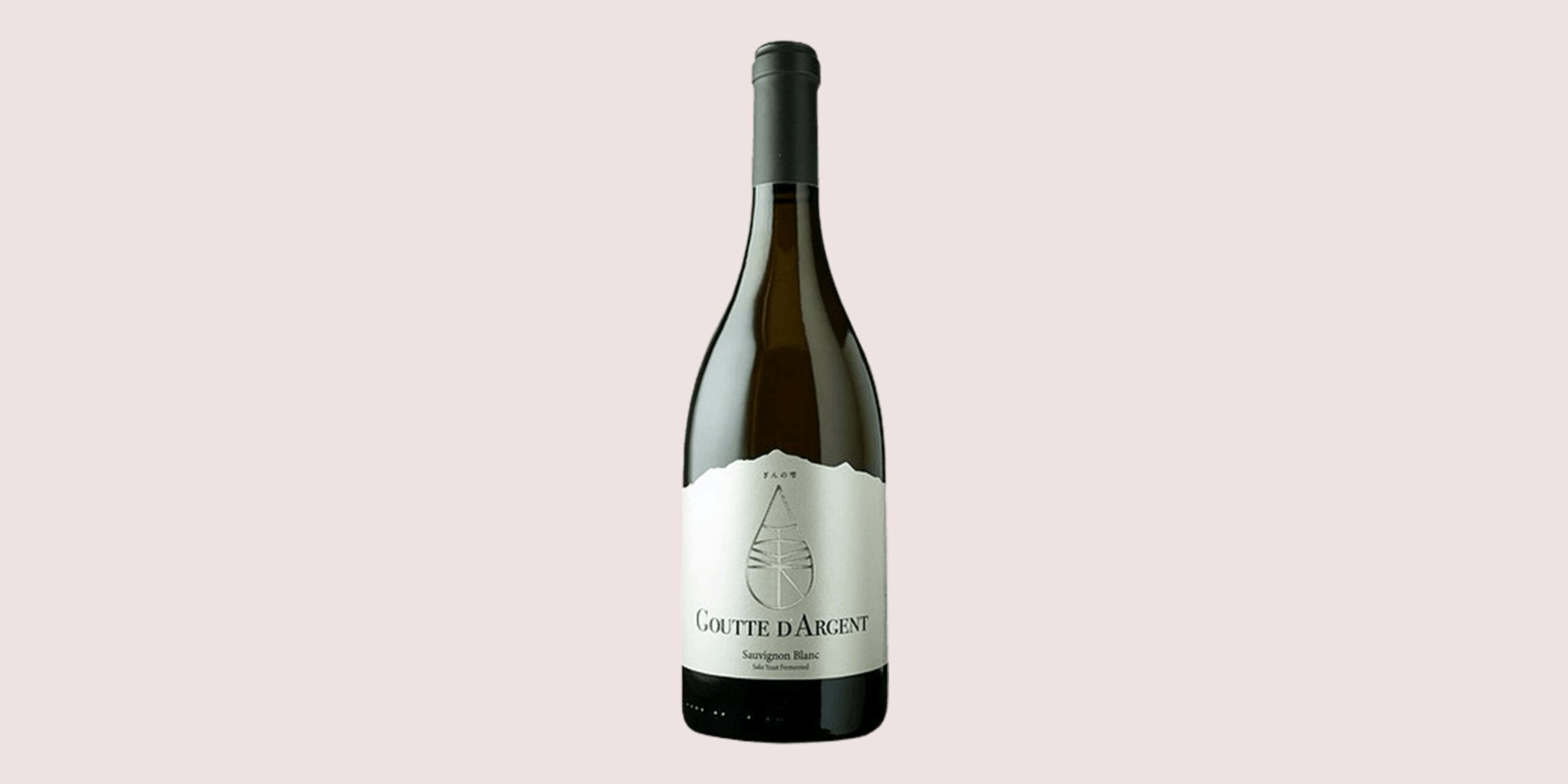 Vina Marty Goutte d'Argent Country Chile Region Maipo Valley Producer Vina Marty Grape Variety Sauvignon Blanc Vintage 2018 ABV 13.00 % Volume 750ml 