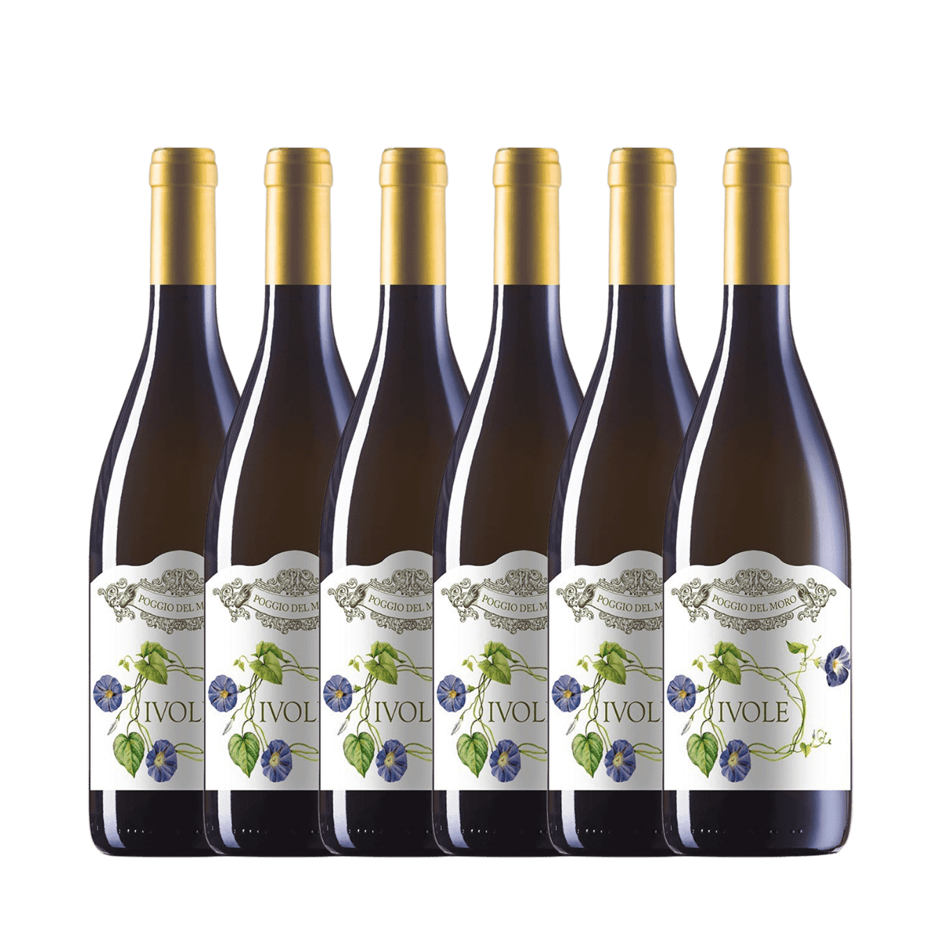 Poggio del Moro Ivole Toscana Bianco Case of 6 Bottles