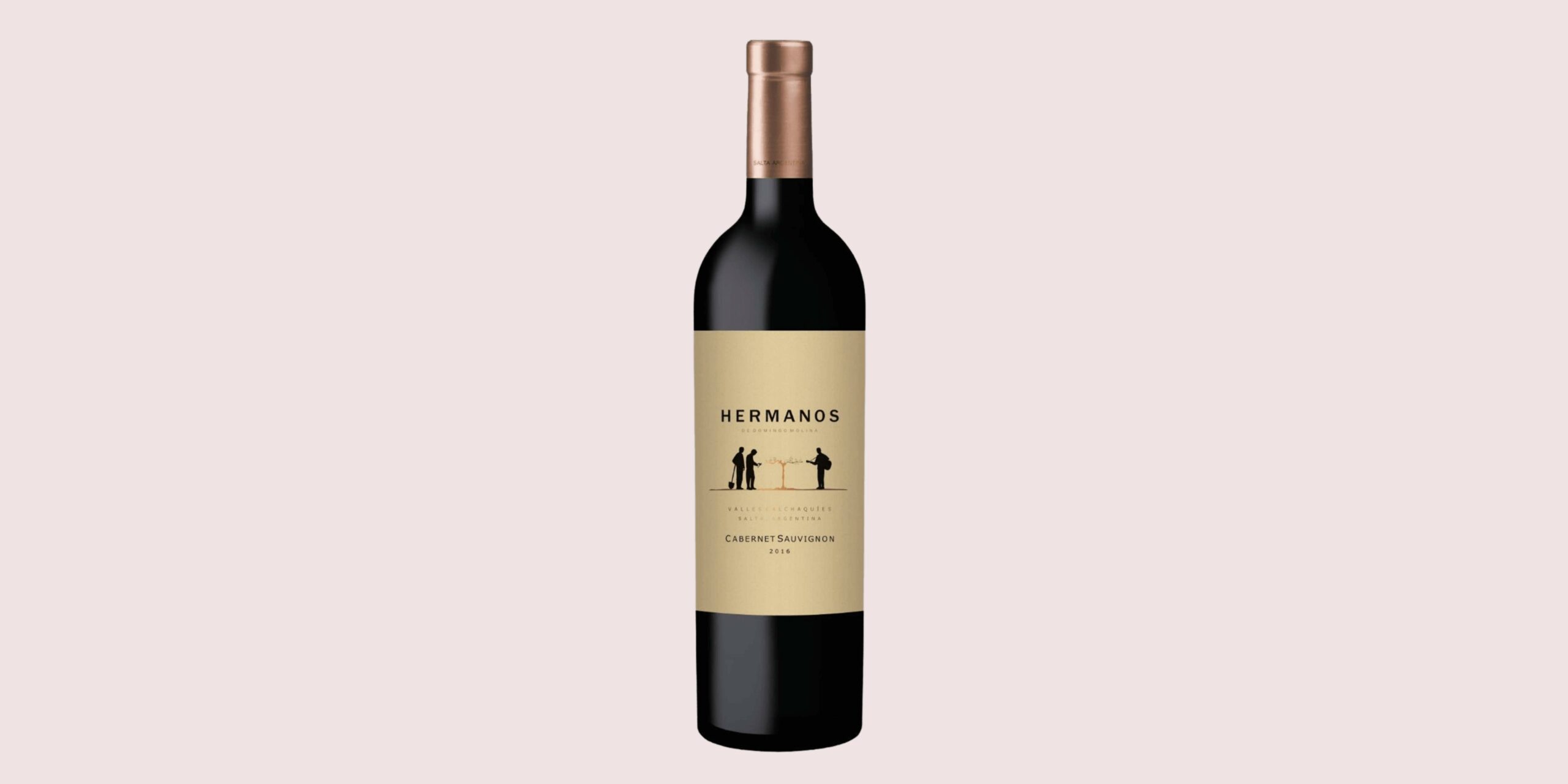 argentina wine hermanos cabernet sauvignon