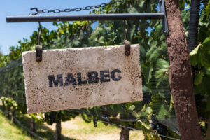 Malbec: Which is best, French or Argentinian?